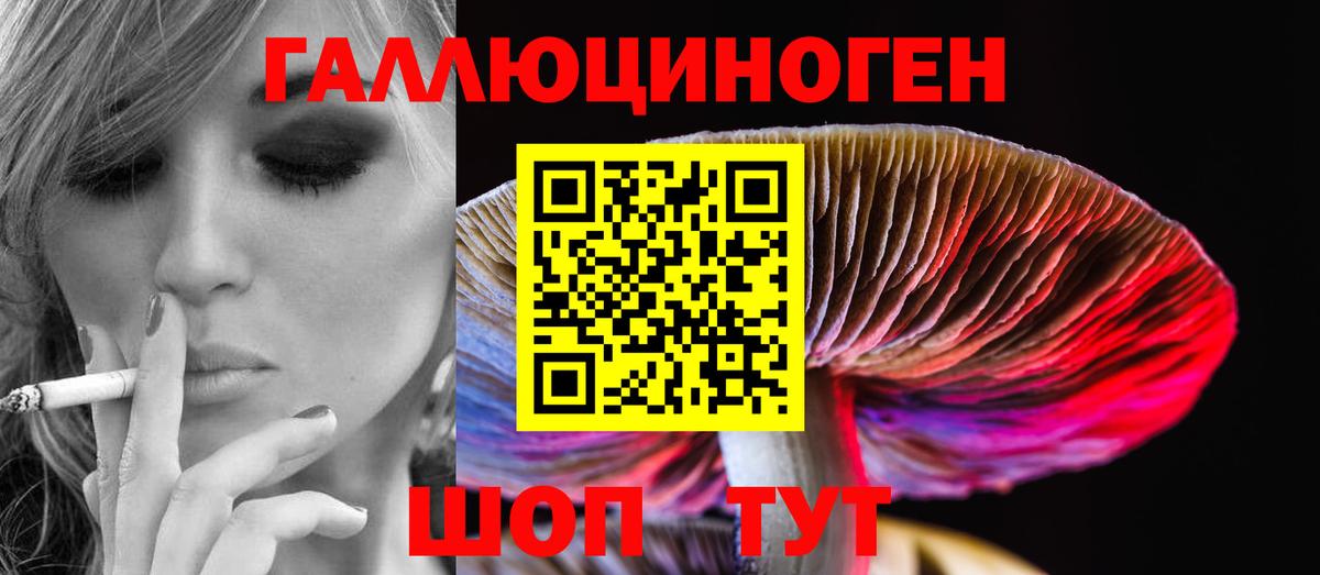 Буйнакск  Псилоцибиновые грибы MAGIC MUSHROOMS  Вход с VPN 