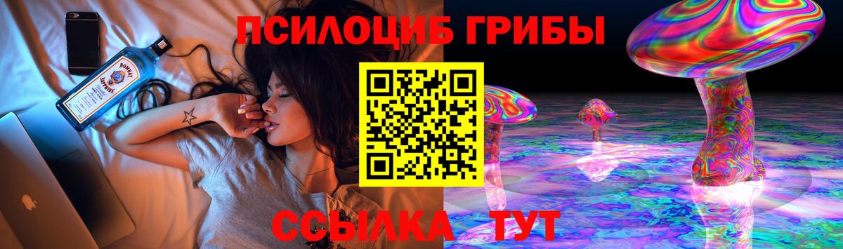 Галлюциногенные грибы прущие грибы Буйнакск
